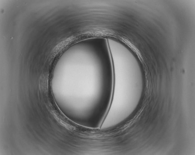 X0000087410493200704201024