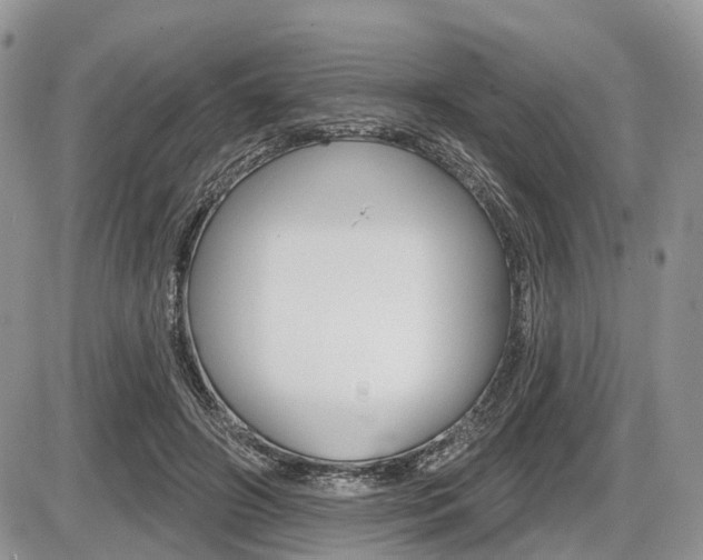 X0000087410498200704201024