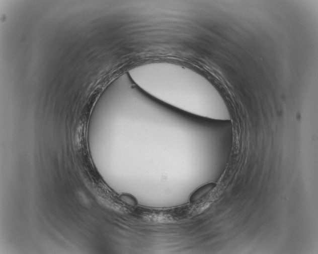 X0000087410503200704201024