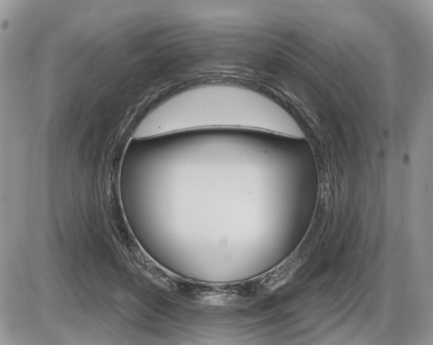 X0000087410504200704201024