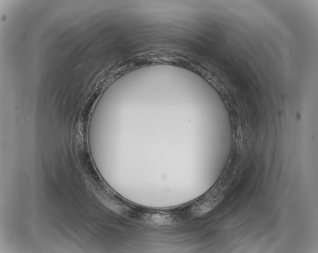 X0000087410506200704201024