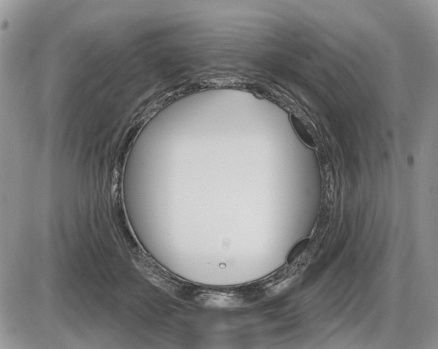 X0000087410507200704201024