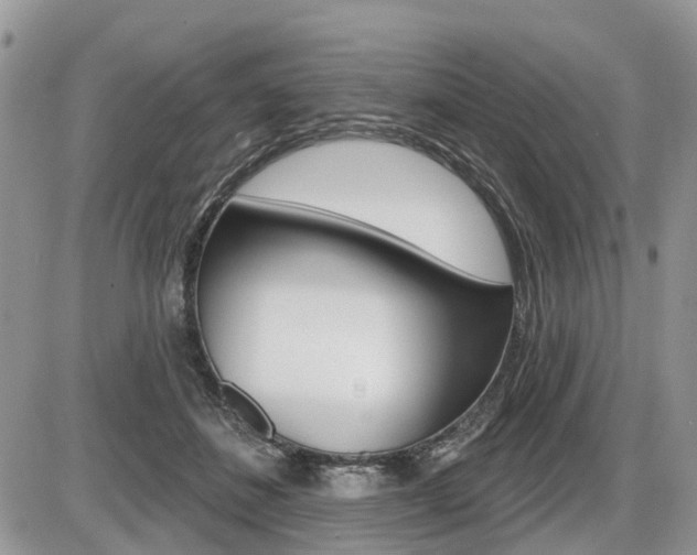 X0000087410508200704201024