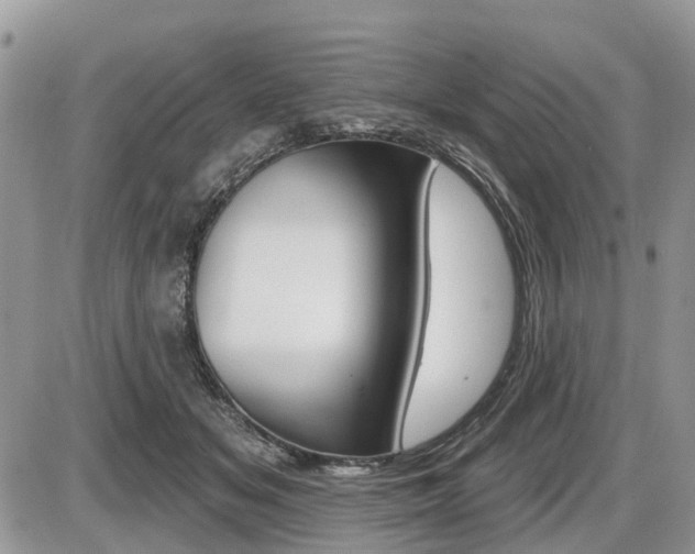 X0000087410509200704201024