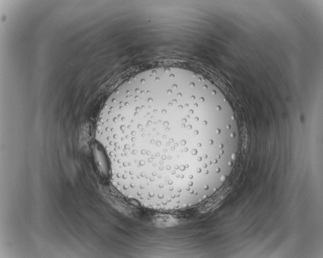 X0000087410519200704201024