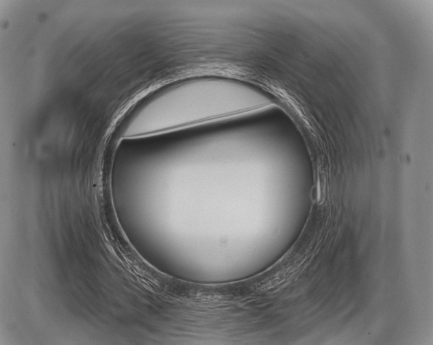X0000087410531200704201023