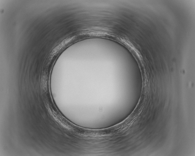 X0000087410533200704201023