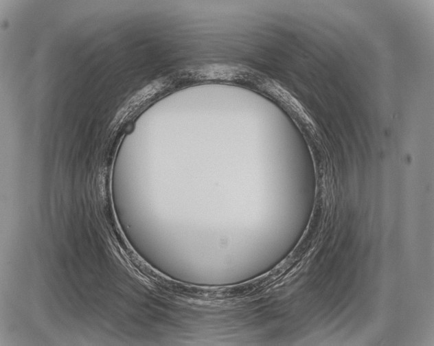 X0000087410537200704201023