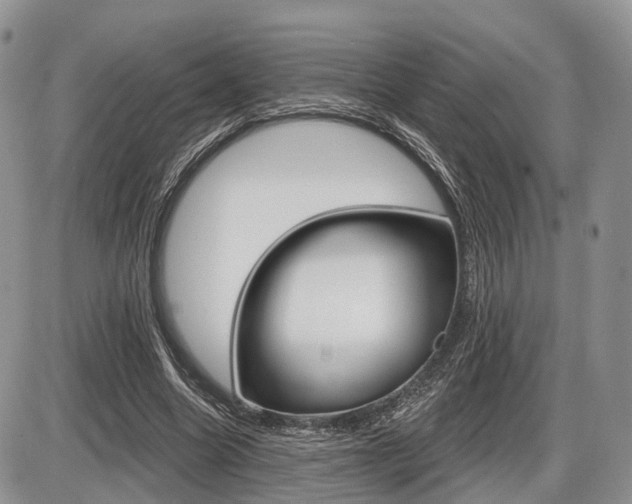 X0000087410538200704201023
