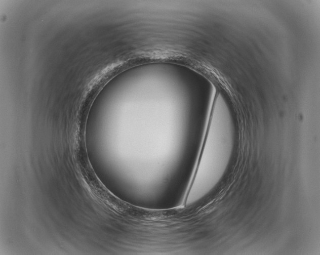 X0000087410540200704201023
