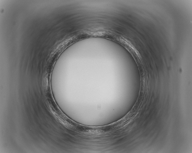 X0000087410541200704201023