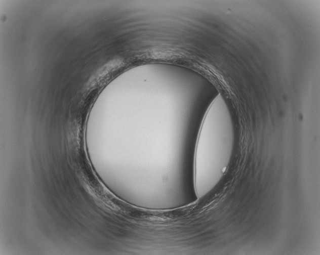 X0000087410542200704201023