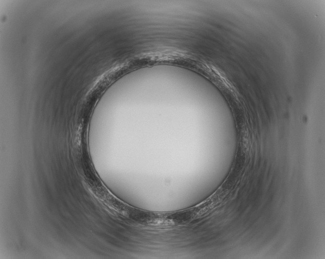 X0000087410543200704201023