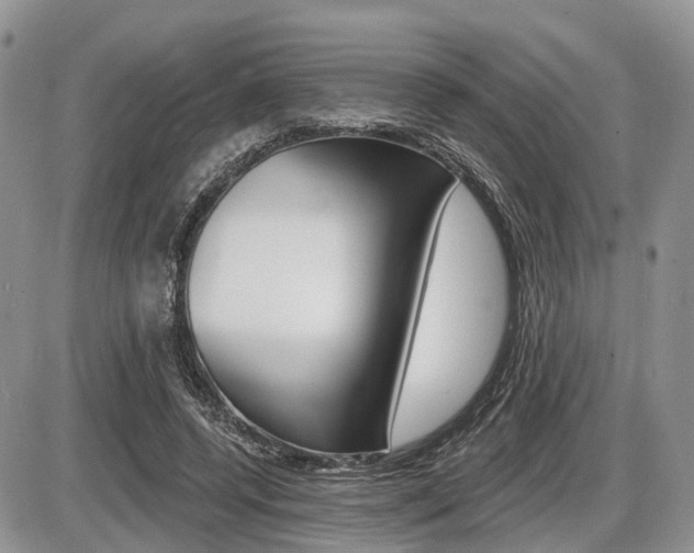X0000087410544200704201023