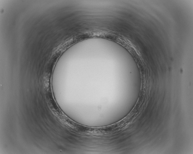 X0000087410545200704201023