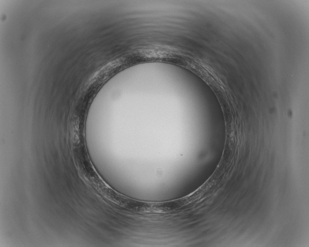X0000087410547200704201023