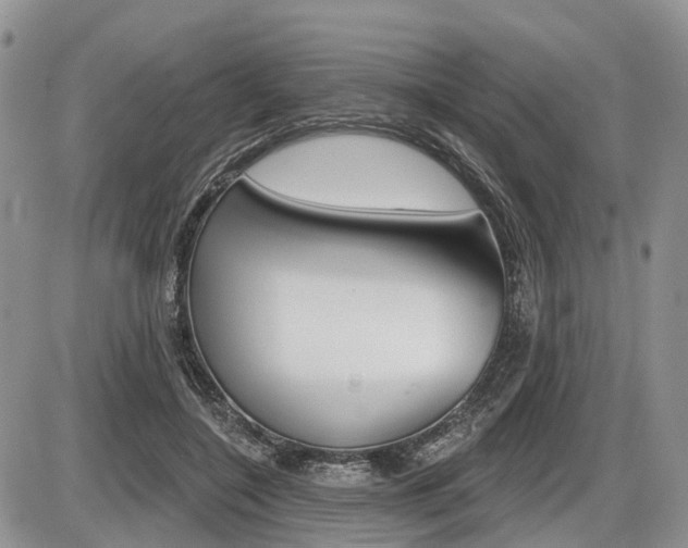 X0000087410548200704201023