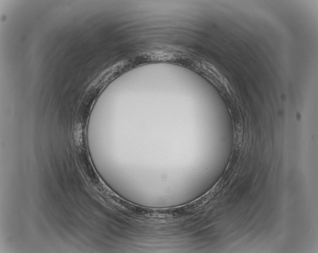 X0000087410549200704201023