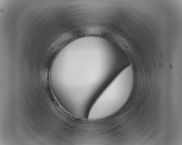 X0000087410550200704201023