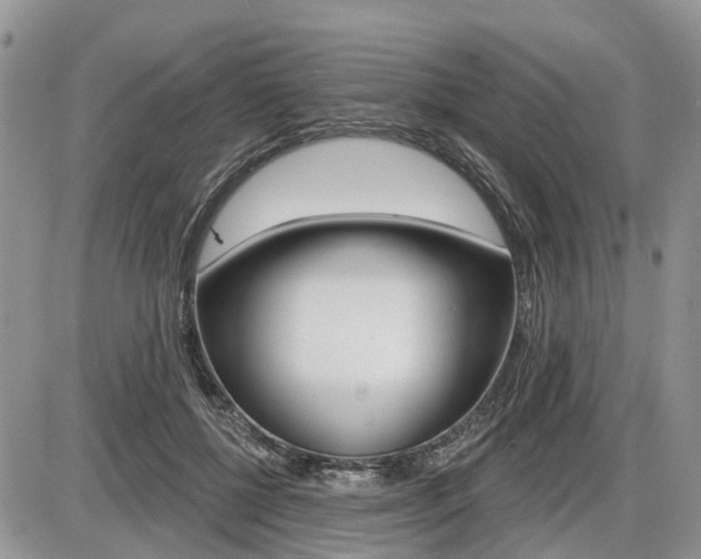 X0000087410552200704201023