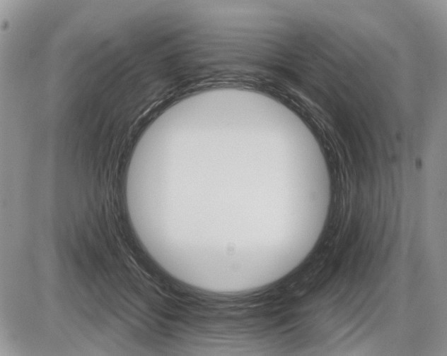 X0000087410556200704201023