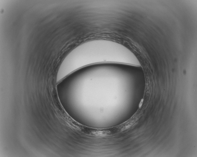 X0000087410558200704201023