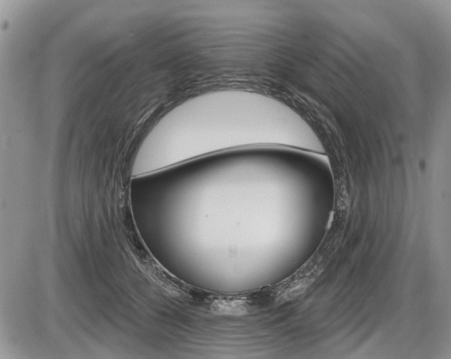 X0000087410560200704201023