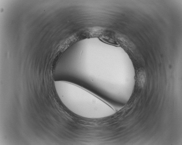 X0000087410571200704201023