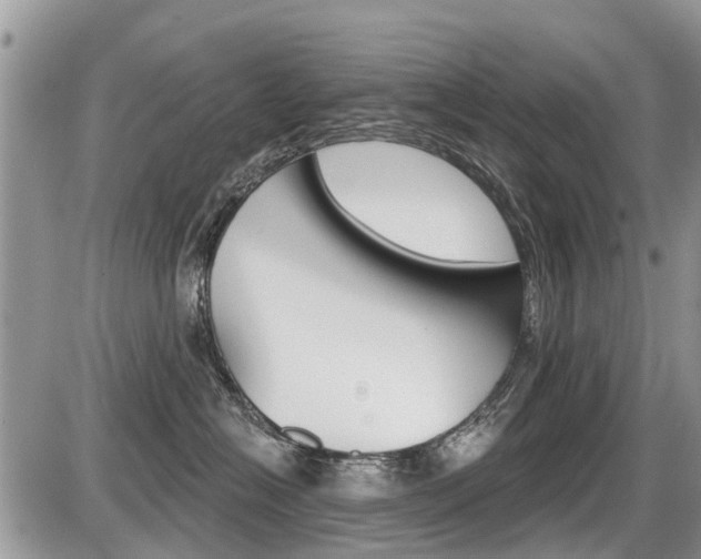 X0000087410574200704201023