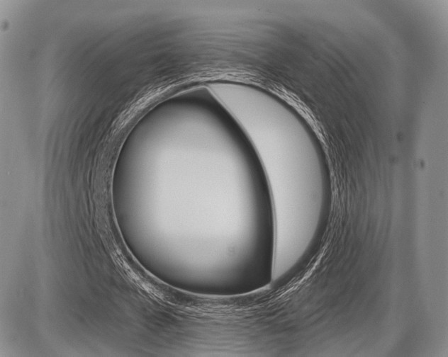 X0000087410577200704201023