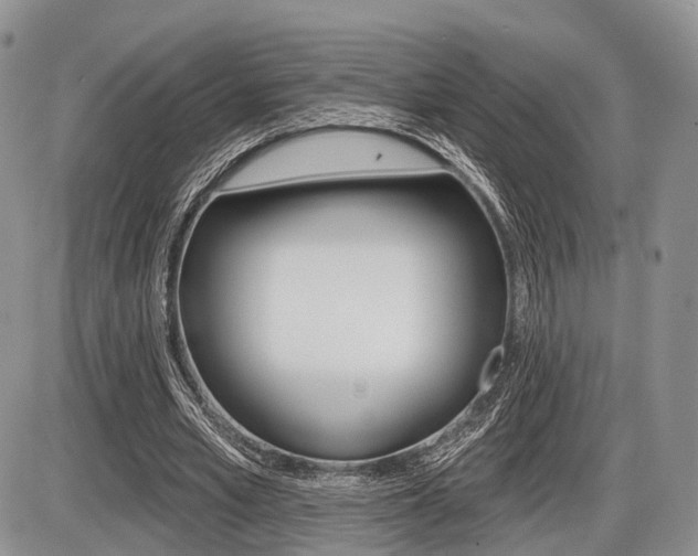X0000087410581200704201023