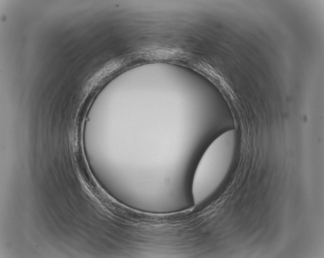 X0000087410582200704201023