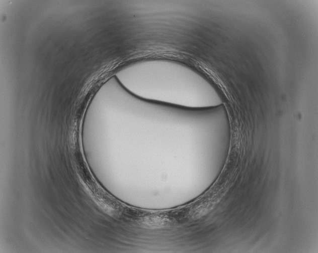 X0000087410586200704201022