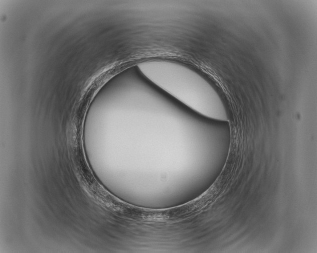 X0000087410587200704201022