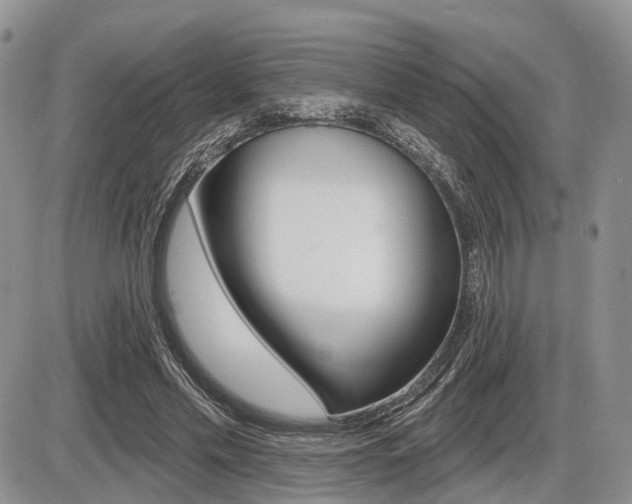 X0000087410589200704201022