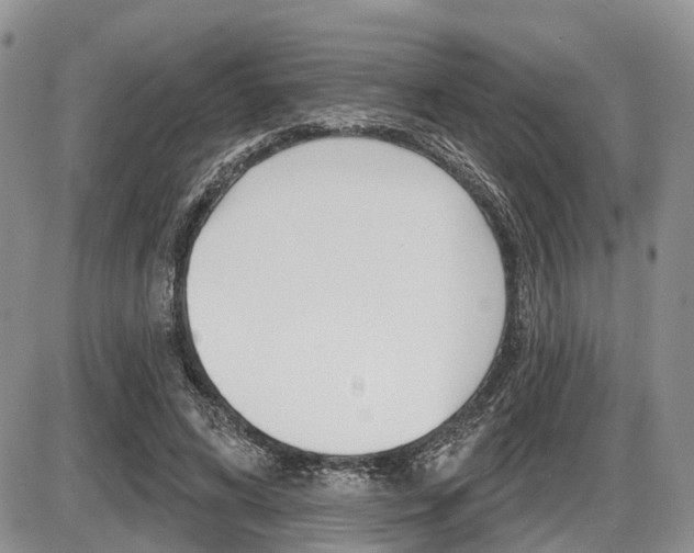 X0000087410592200704201022