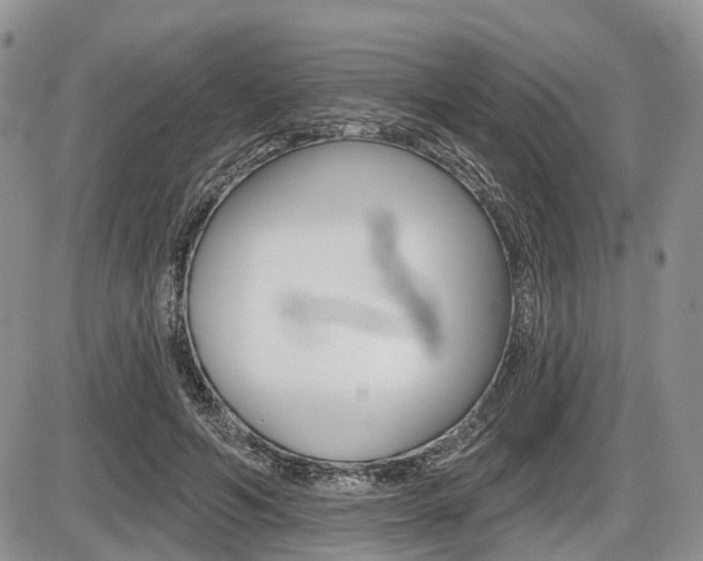 X0000087410594200704201022
