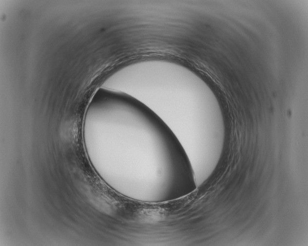 X0000087410595200704201022