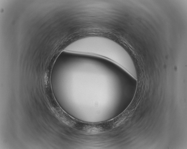 X0000087410597200704201022