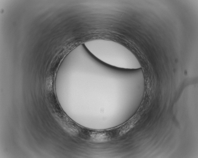 X0000087410602200704201022