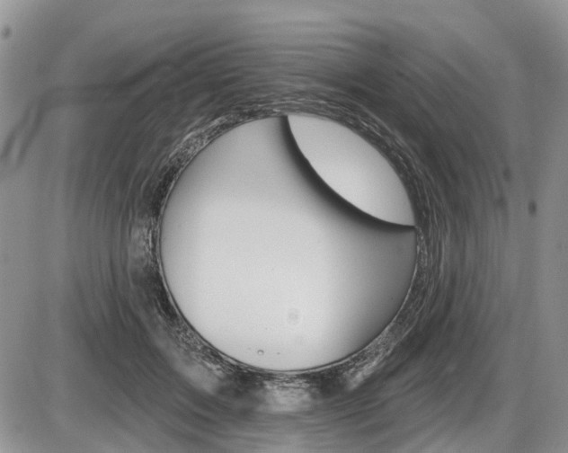 X0000087410603200704201022