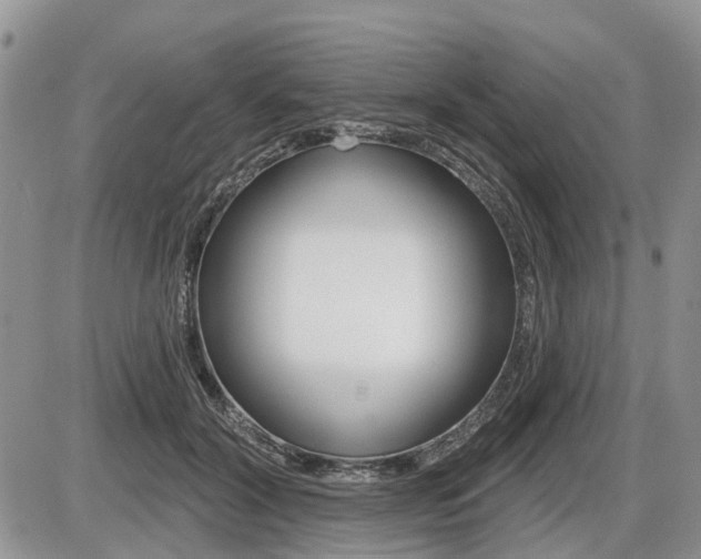 X0000087410604200704201022