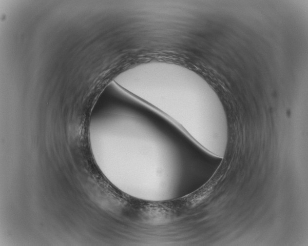 X0000087410608200704201022
