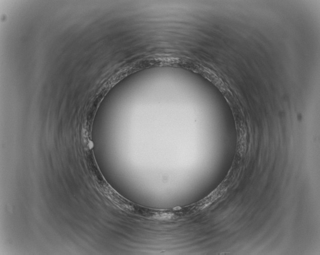 X0000087410609200704201022