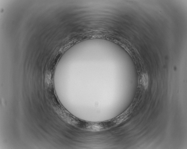 X0000087410610200704201022