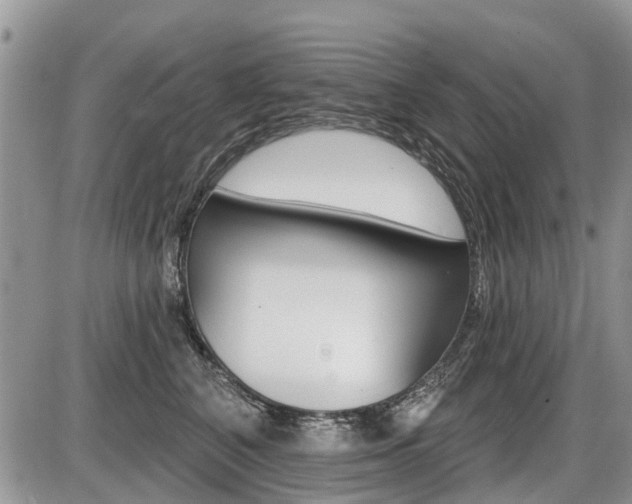 X0000087410616200704201022