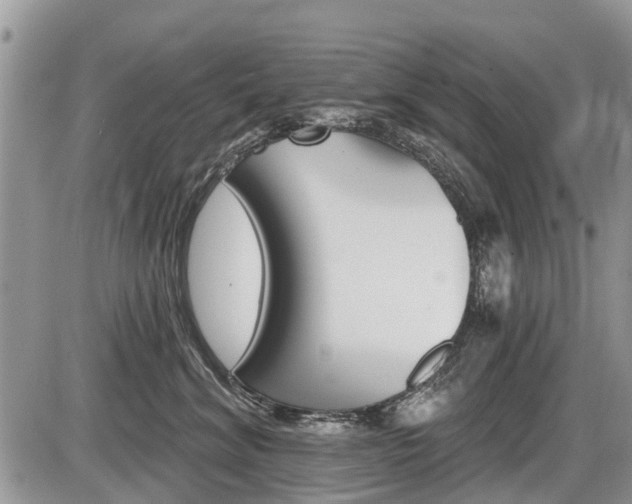 X0000087410620200704201022