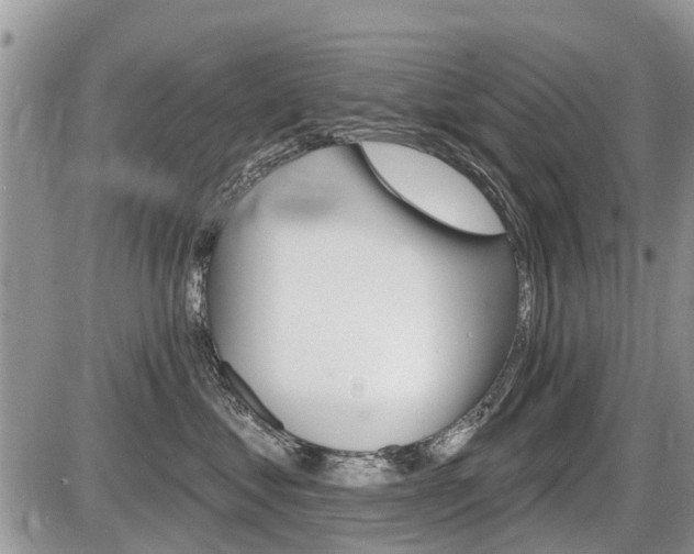 X0000087410621200704201022
