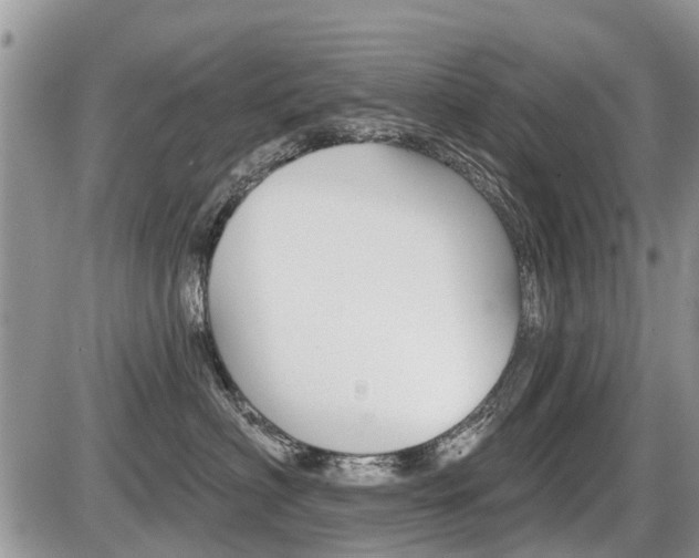 X0000087410622200704201022
