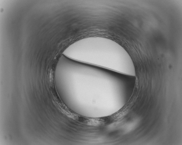 X0000087410623200704201022